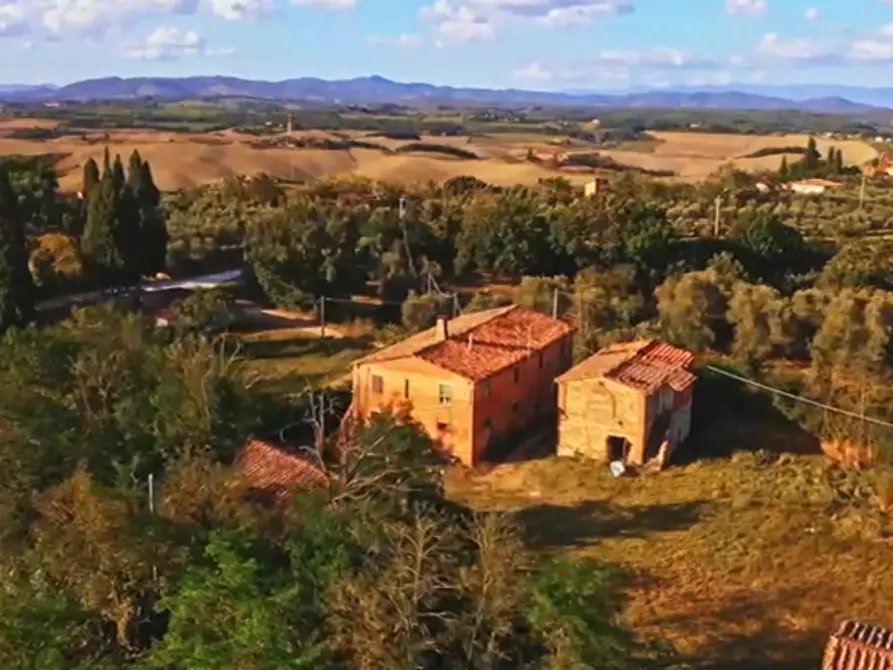 Immagine 10 di Casa colonica in vendita  a Asciano
