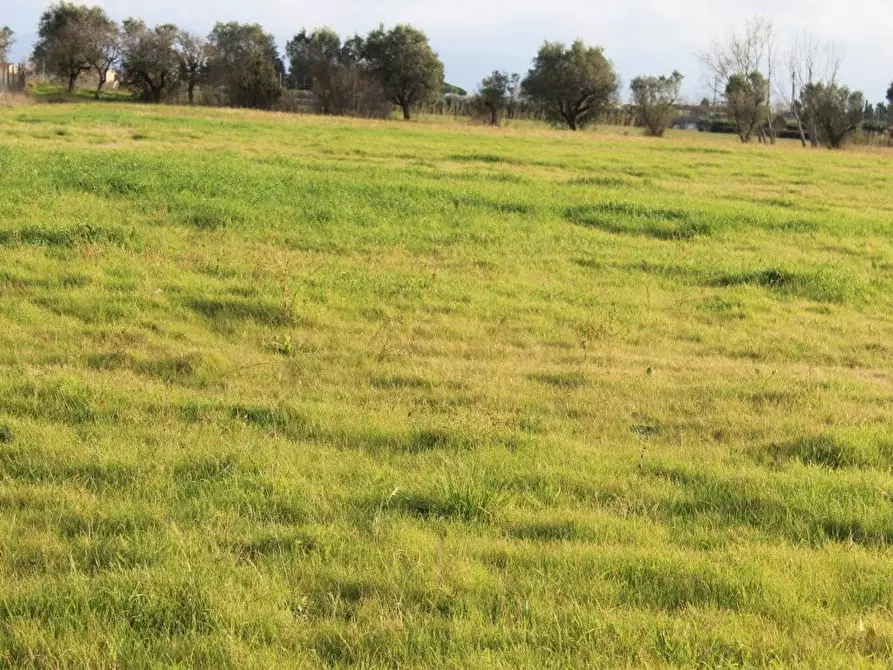 Immagine 1 di Casa indipendente in vendita  a Cecina