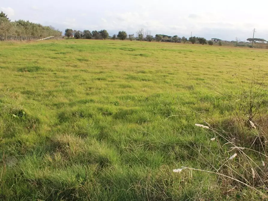 Immagine 2 di Casa indipendente in vendita  a Cecina