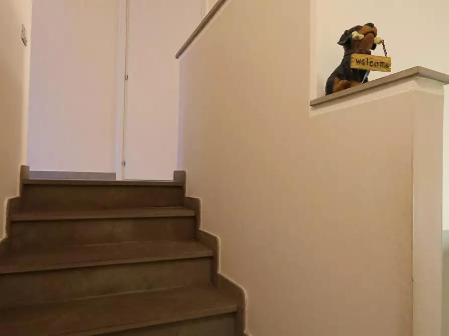 Immagine 21 di Villetta a schiera in vendita  a Buti