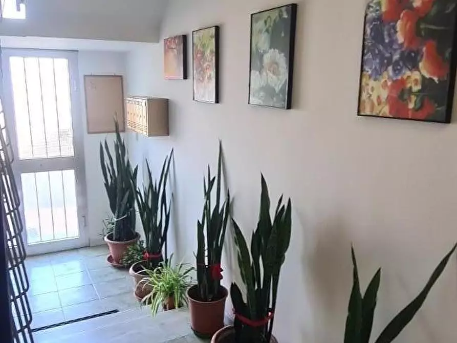 Immagine 16 di Appartamento in vendita  a Livorno