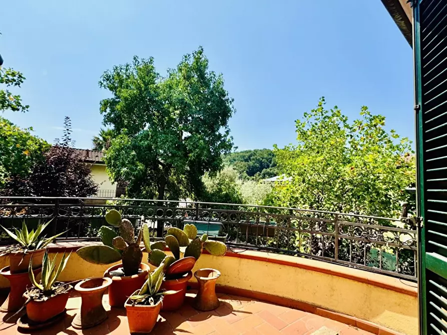 Immagine 27 di Casa indipendente in vendita  a Massa
