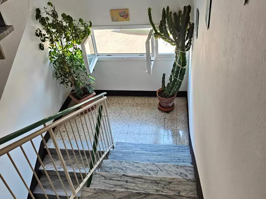 Immagine 17 di Appartamento in vendita  a Pisa