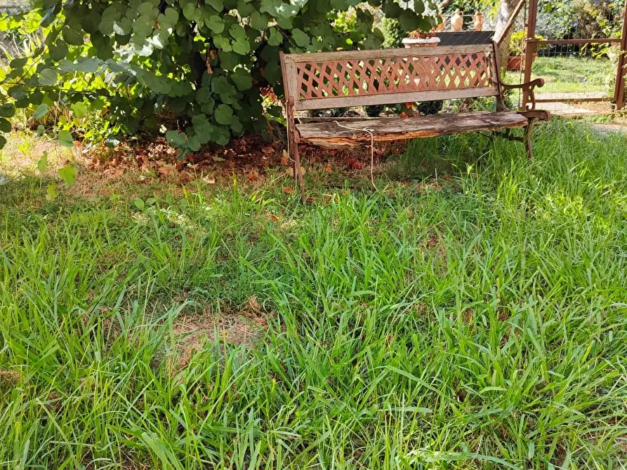 Immagine 23 di Appartamento in vendita  a Pisa