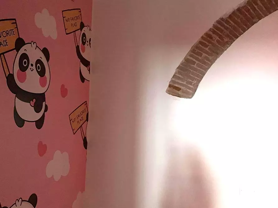 Immagine 15 di Locale commerciale in vendita  a Pisa