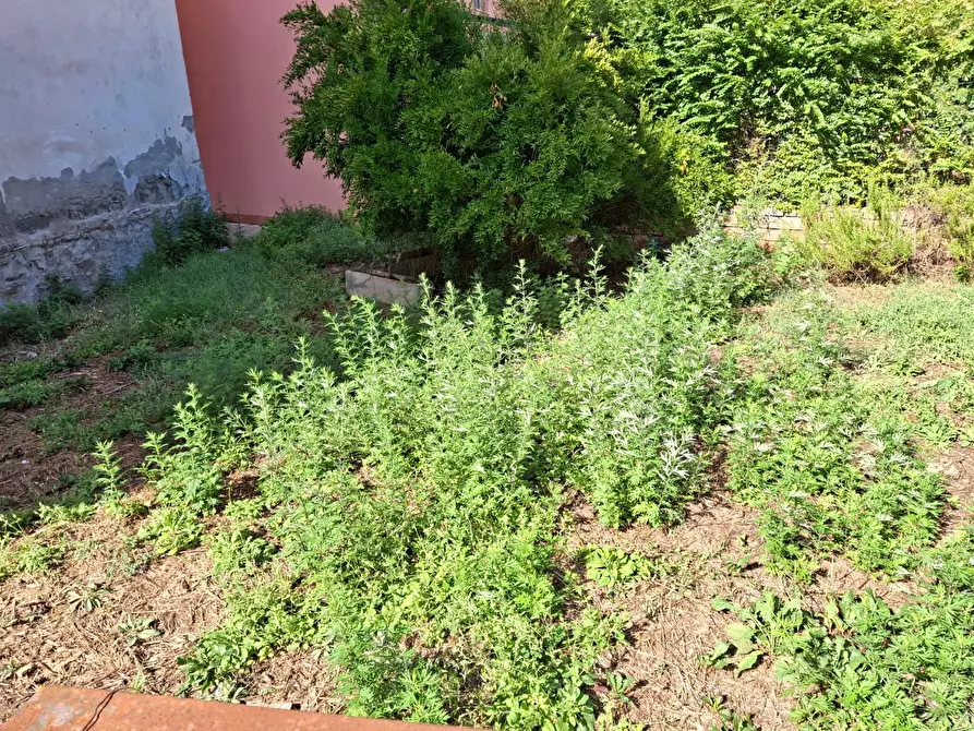 Immagine 19 di Terratetto in vendita  a Capraia E Limite