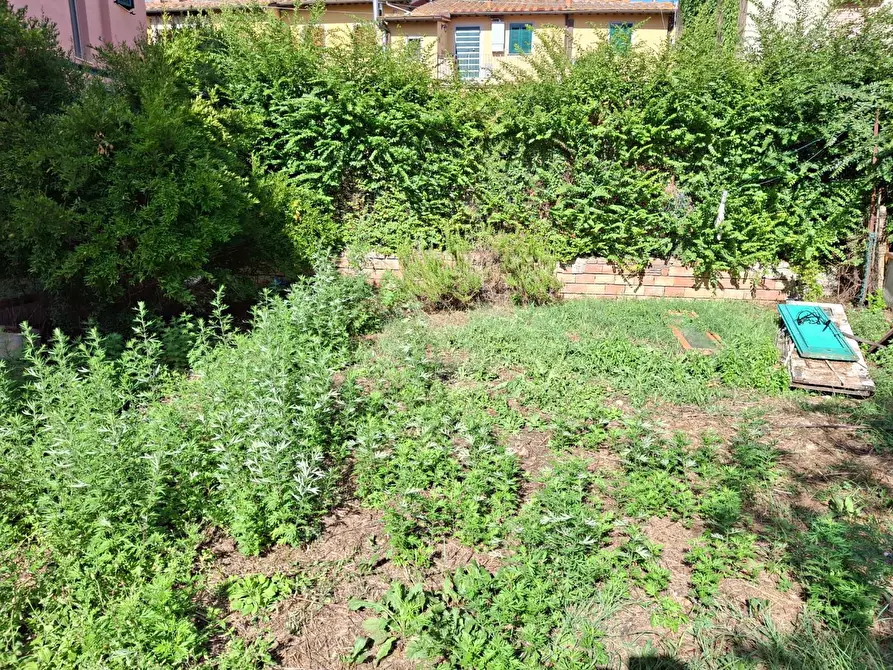 Immagine 18 di Terratetto in vendita  a Capraia E Limite