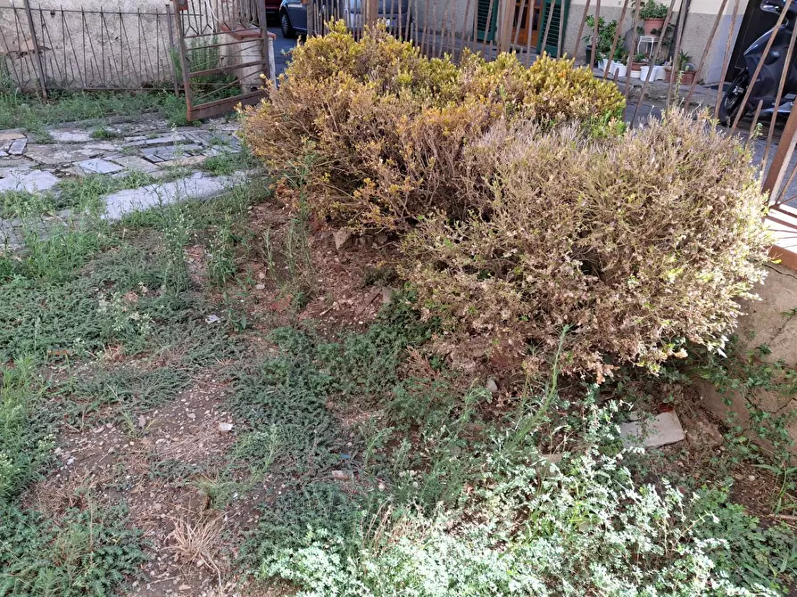 Immagine 16 di Terratetto in vendita  a Capraia E Limite