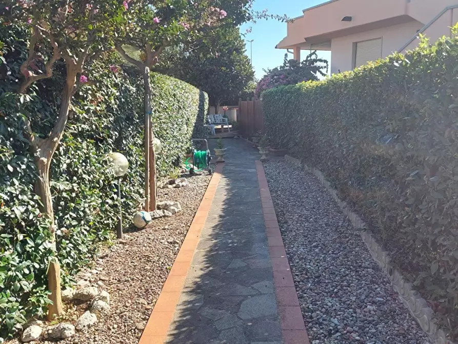 Immagine 12 di Appartamento in vendita  a Bibbona