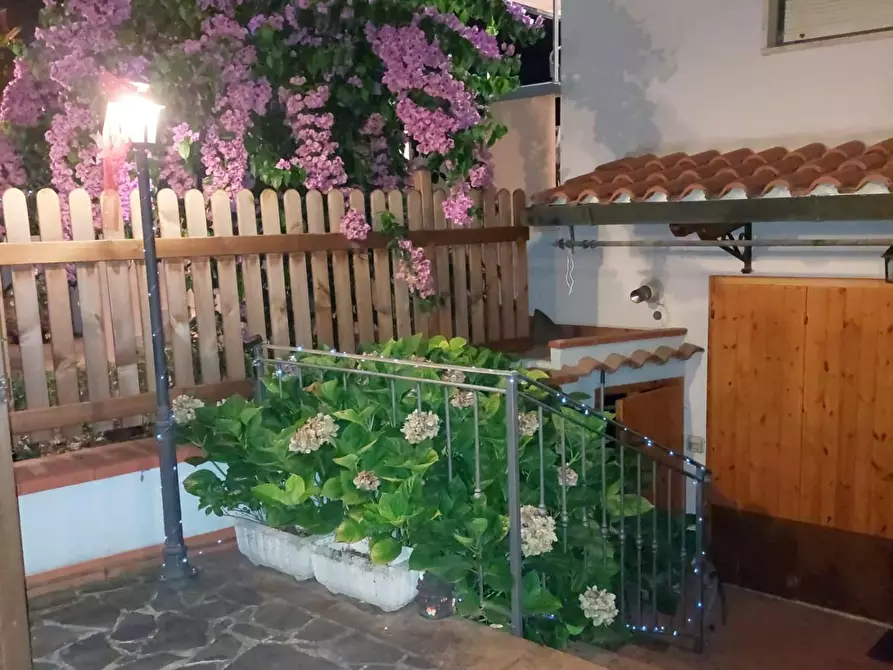 Immagine 75 di Appartamento in vendita  a Bibbona