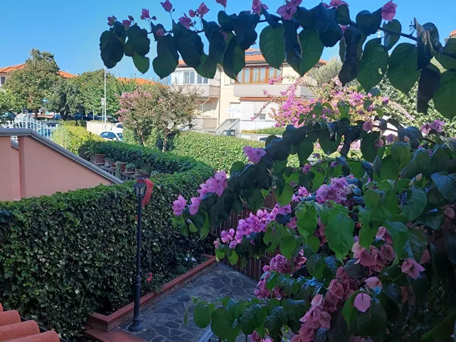 Immagine 64 di Appartamento in vendita  a Bibbona