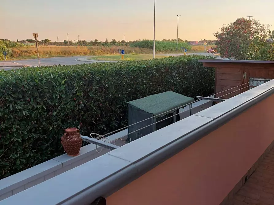 Immagine 68 di Appartamento in vendita  a Bibbona