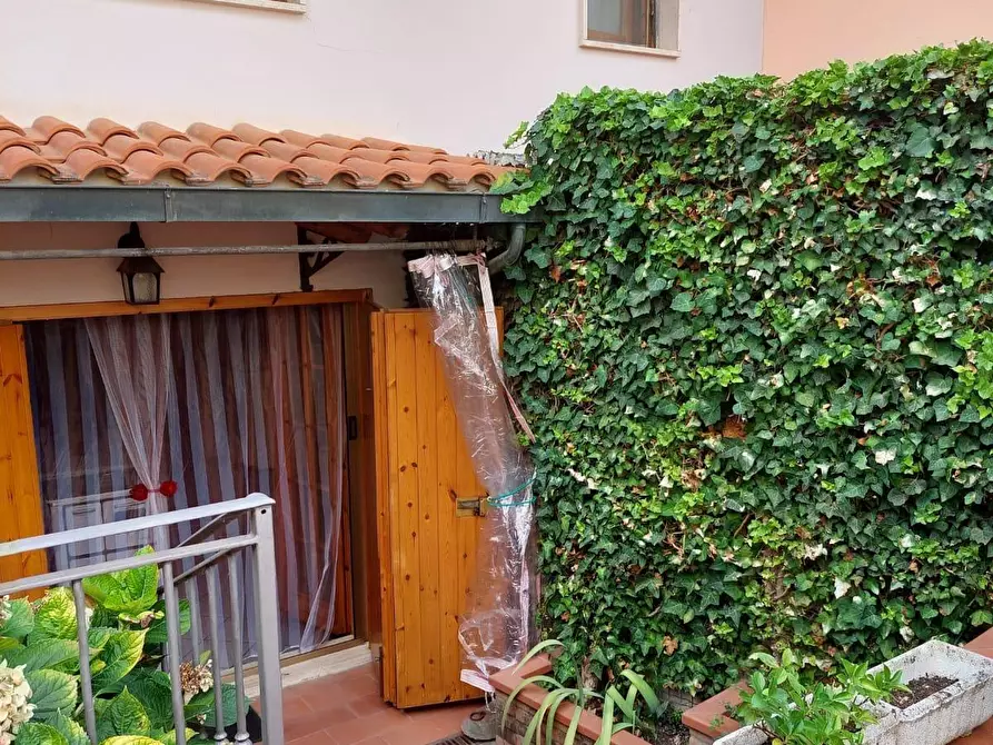 Immagine 63 di Appartamento in vendita  a Bibbona