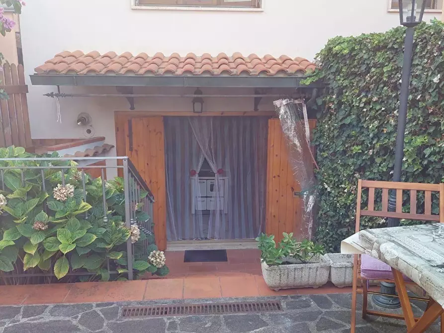 Immagine 54 di Appartamento in vendita  a Bibbona