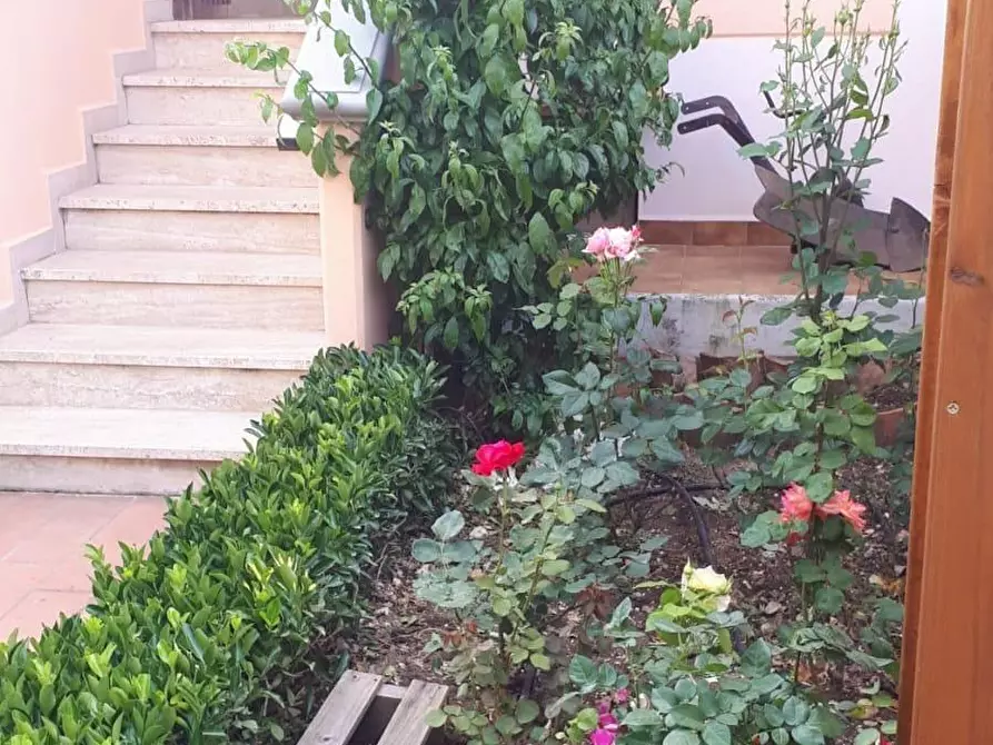 Immagine 17 di Appartamento in vendita  a Bibbona