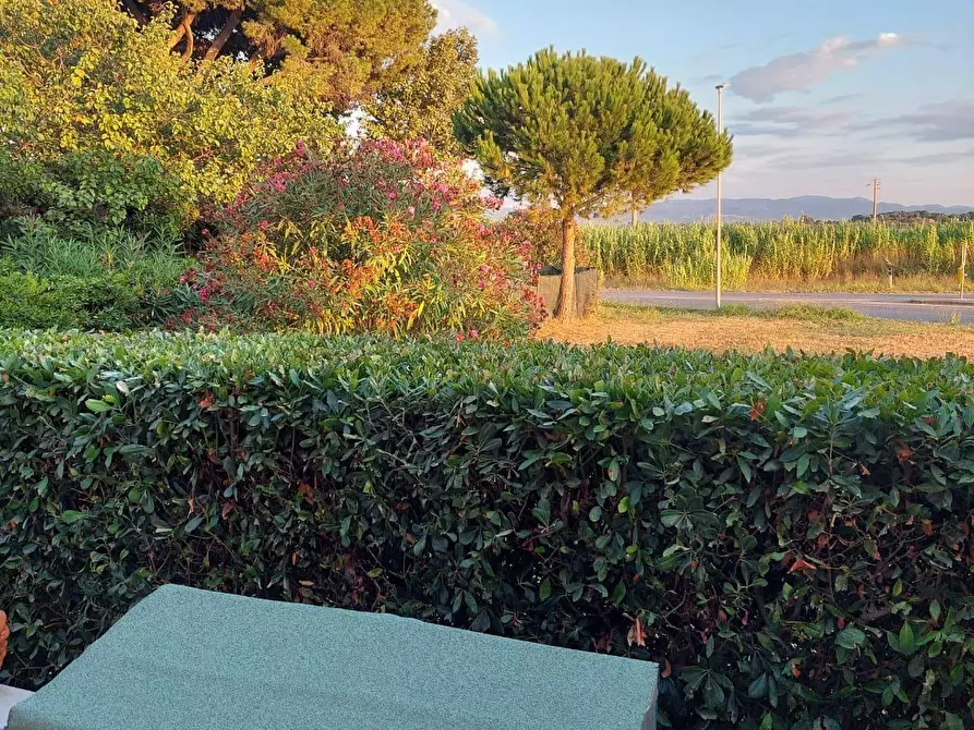 Immagine 67 di Appartamento in vendita  a Bibbona