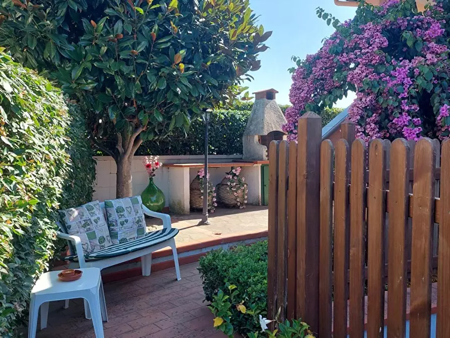 Immagine 18 di Appartamento in vendita  a Bibbona