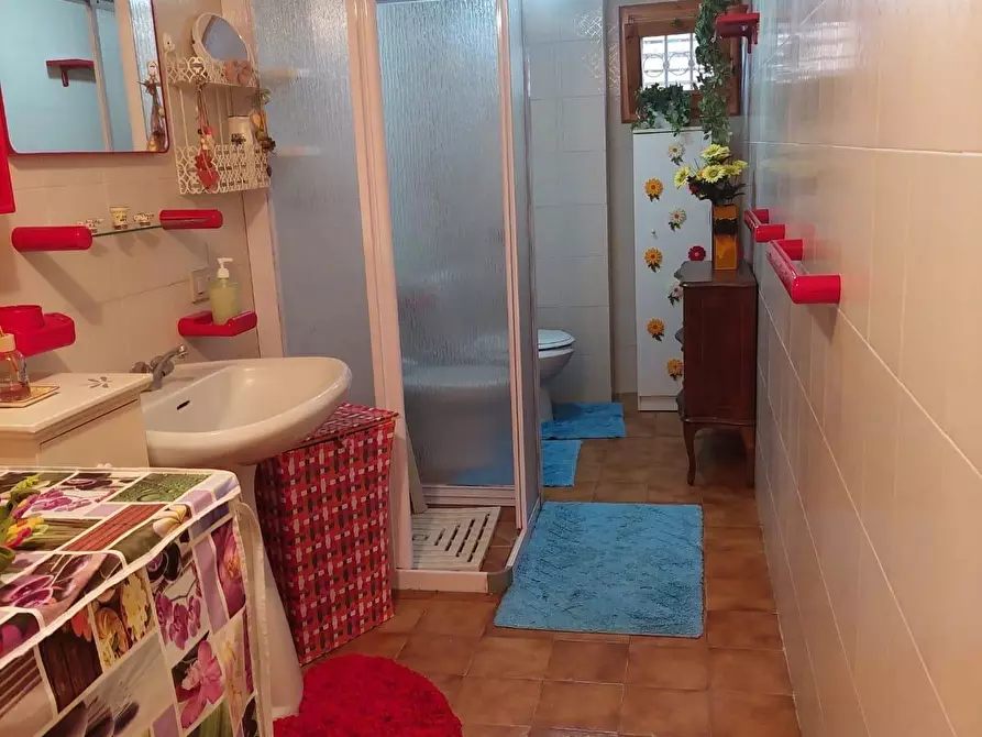 Immagine 53 di Appartamento in vendita  a Bibbona