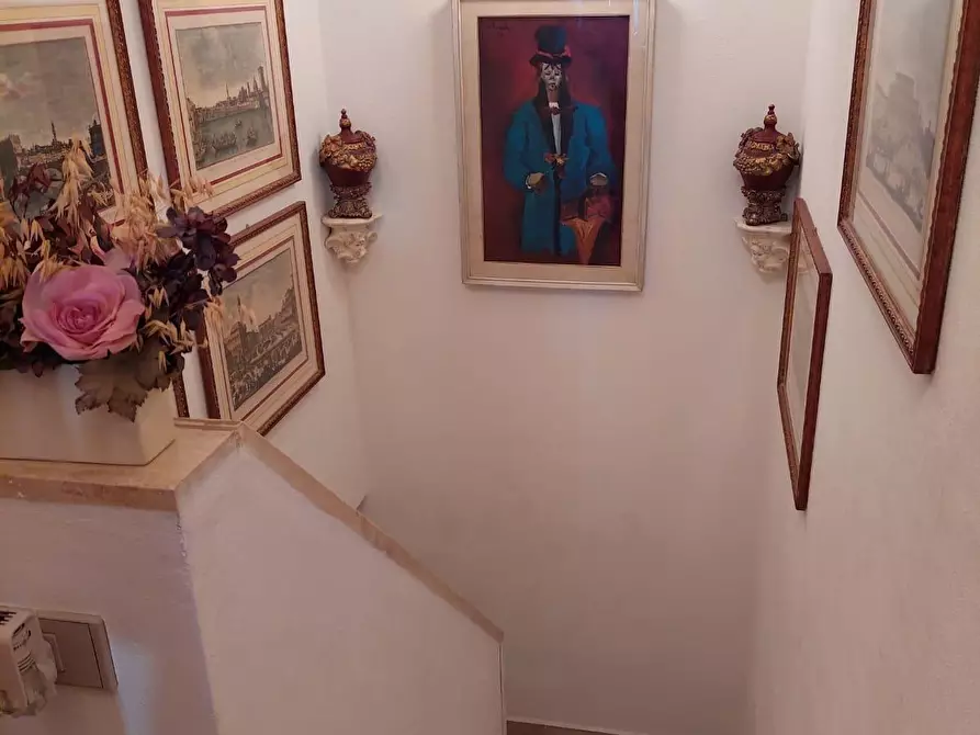 Immagine 42 di Appartamento in vendita  a Bibbona