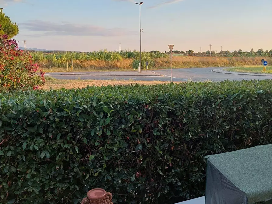 Immagine 66 di Appartamento in vendita  a Bibbona