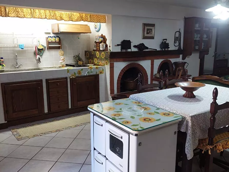 Immagine 49 di Appartamento in vendita  a Bibbona