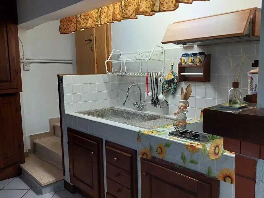 Immagine 44 di Appartamento in vendita  a Bibbona