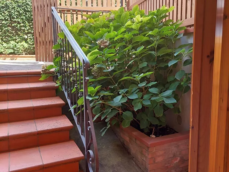 Immagine 55 di Appartamento in vendita  a Bibbona