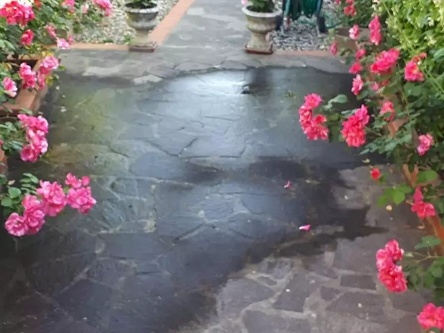 Immagine 11 di Appartamento in vendita  a Bibbona