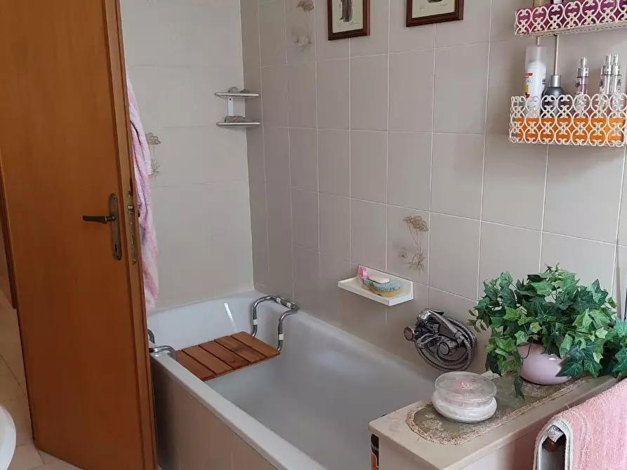 Immagine 39 di Appartamento in vendita  a Bibbona