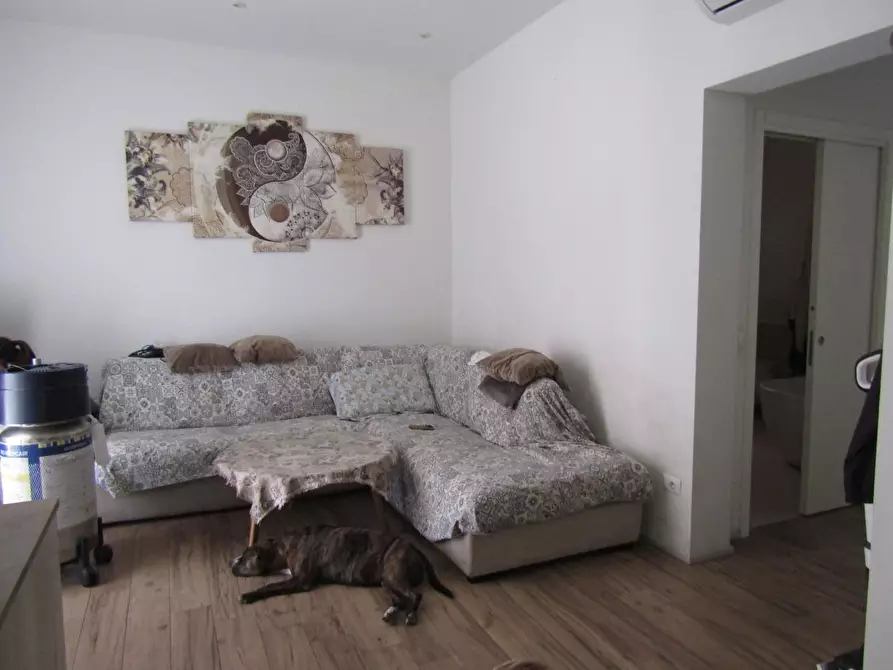 Immagine 4 di Casa indipendente in vendita  a Carrara