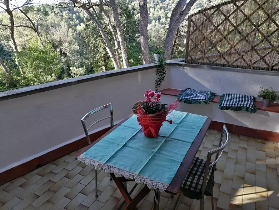 Immagine 3 di Appartamento in vendita  a Rosignano Marittimo