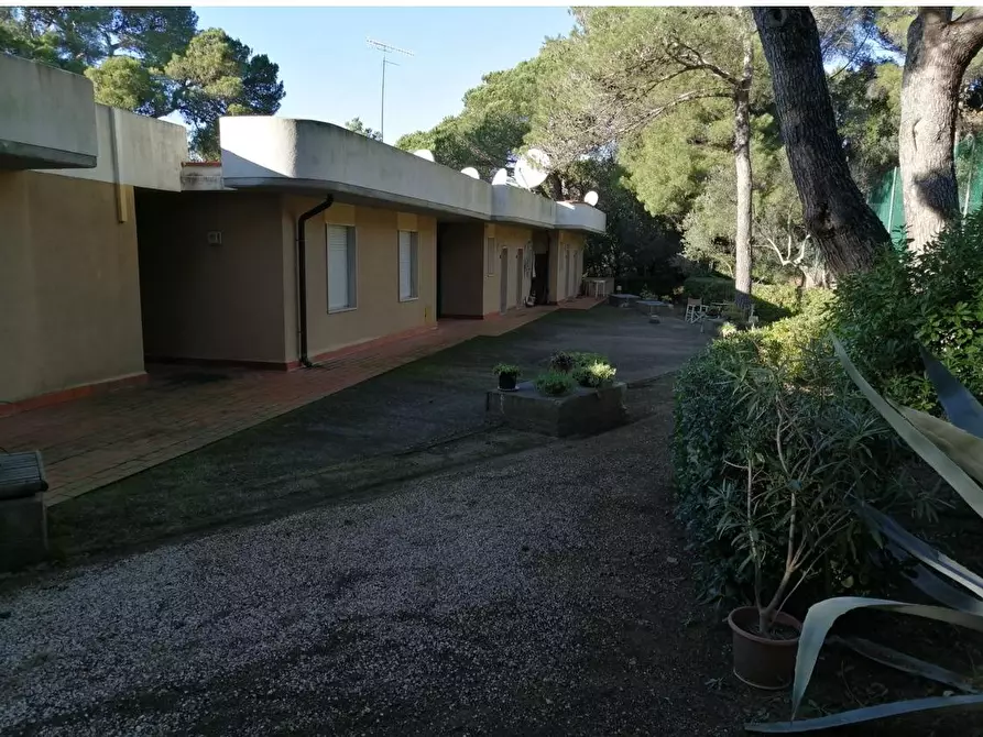 Immagine 7 di Appartamento in vendita  a Rosignano Marittimo