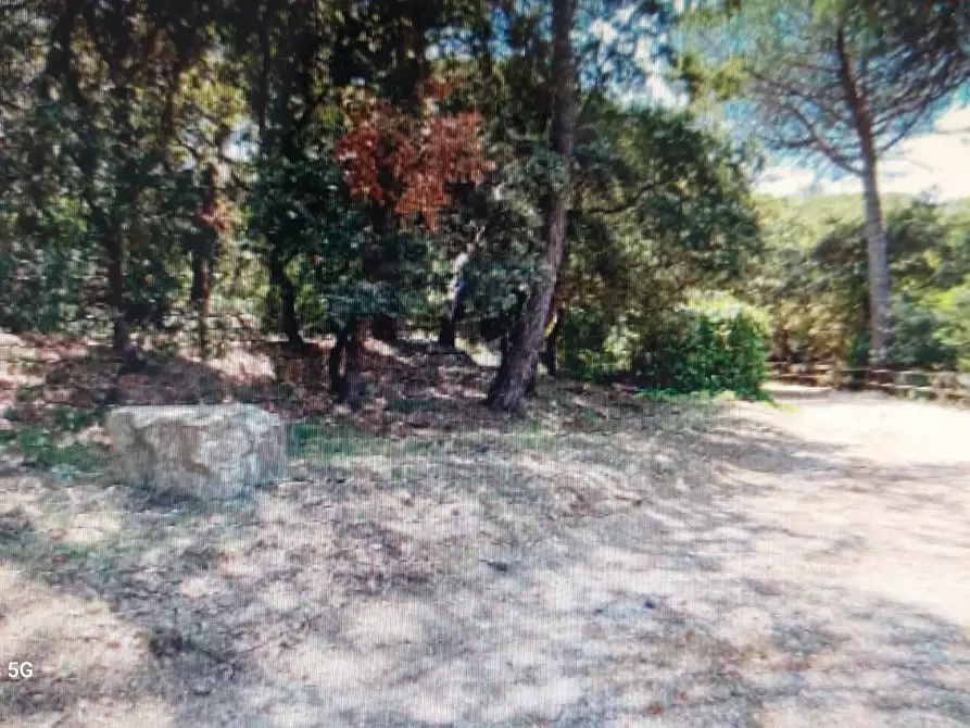 Immagine 14 di Appartamento in vendita  a Rosignano Marittimo