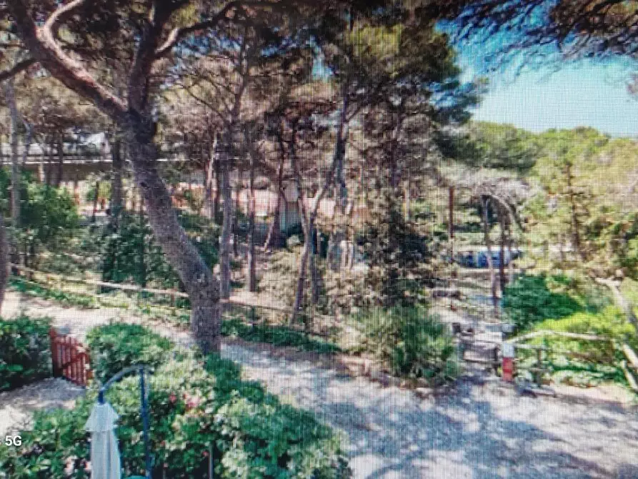 Immagine 11 di Appartamento in vendita  a Rosignano Marittimo