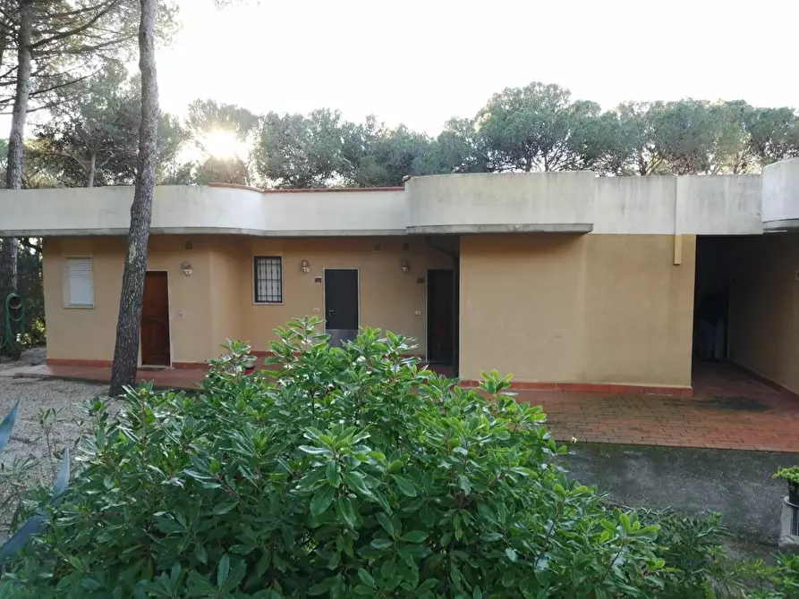 Immagine 4 di Appartamento in vendita  a Rosignano Marittimo