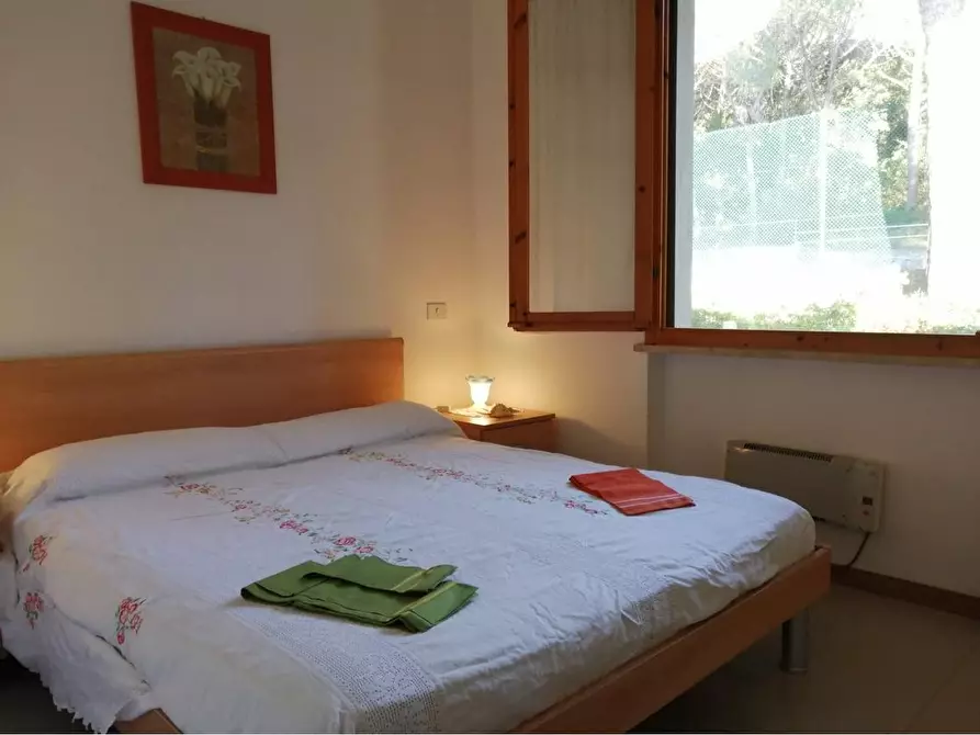 Immagine 9 di Appartamento in vendita  a Rosignano Marittimo