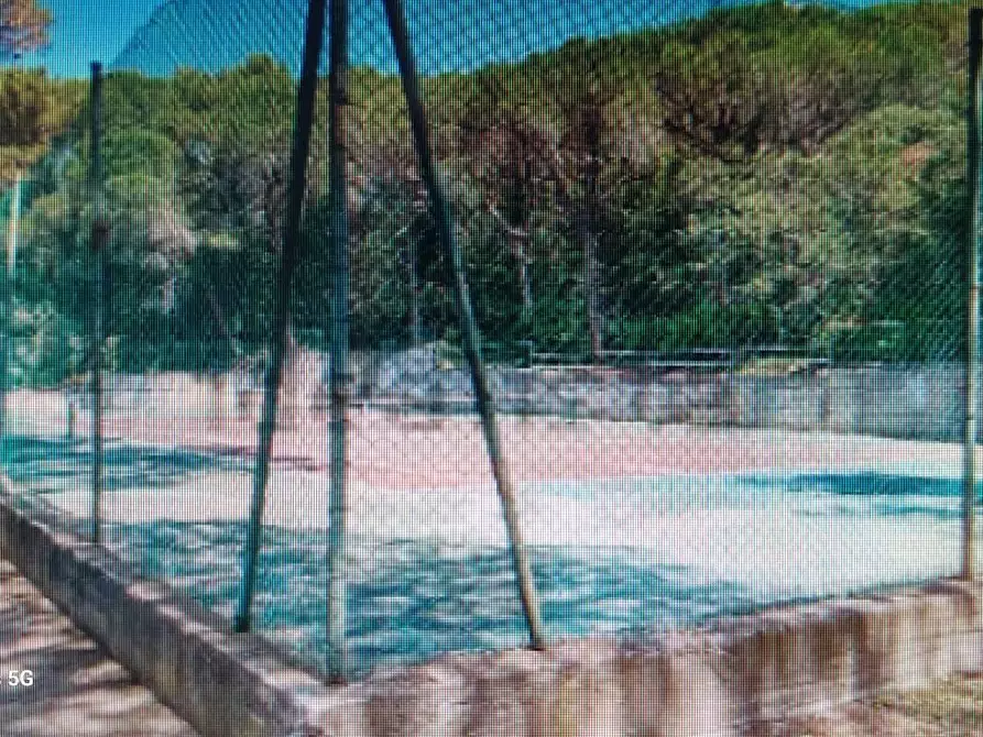 Immagine 12 di Appartamento in vendita  a Rosignano Marittimo