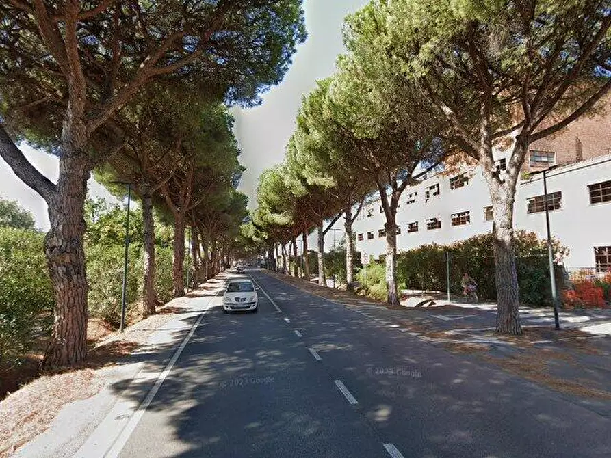 Immagine 3 di Appartamento in vendita  a Cecina