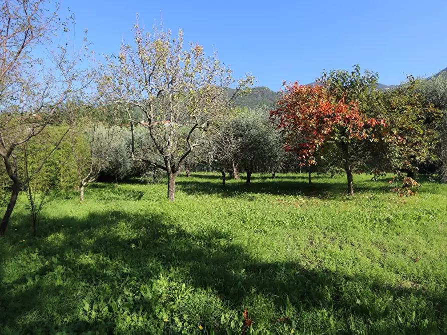 Immagine 1 di Terratetto in vendita  a San Giuliano Terme