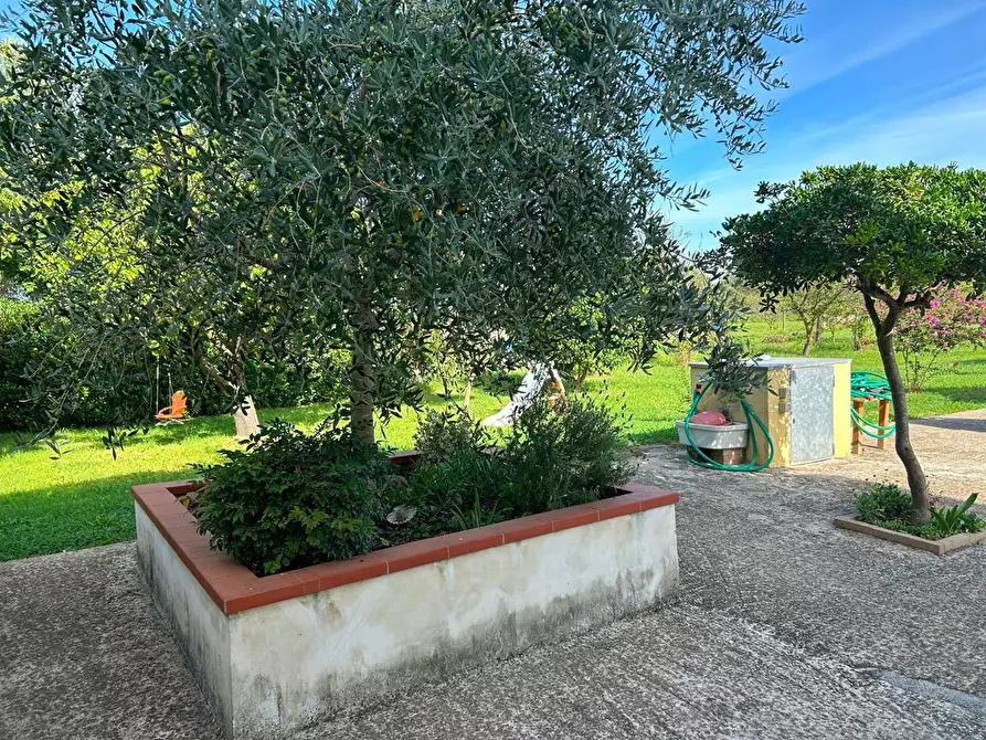 Immagine 9 di Terratetto in vendita  a Pisa
