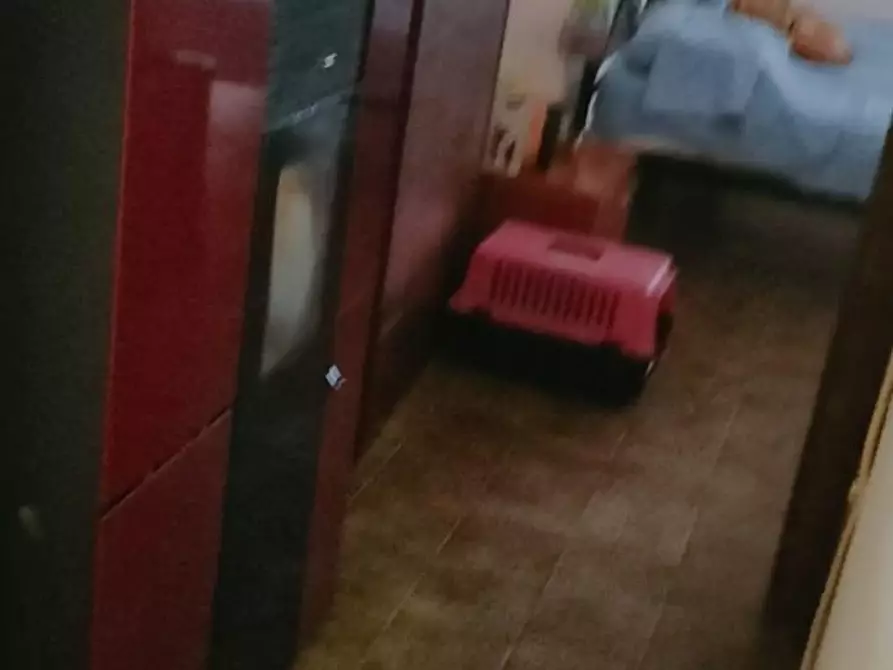 Immagine 6 di Appartamento in vendita  a Massa