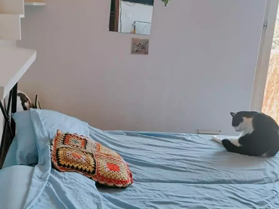 Immagine 10 di Appartamento in vendita  a Massa