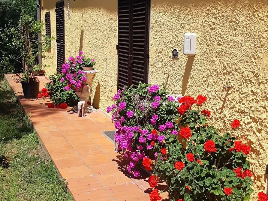 Immagine 21 di Casa indipendente in vendita  a Monsummano Terme