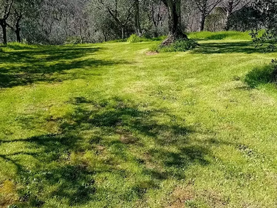 Immagine 20 di Casa indipendente in vendita  a Monsummano Terme