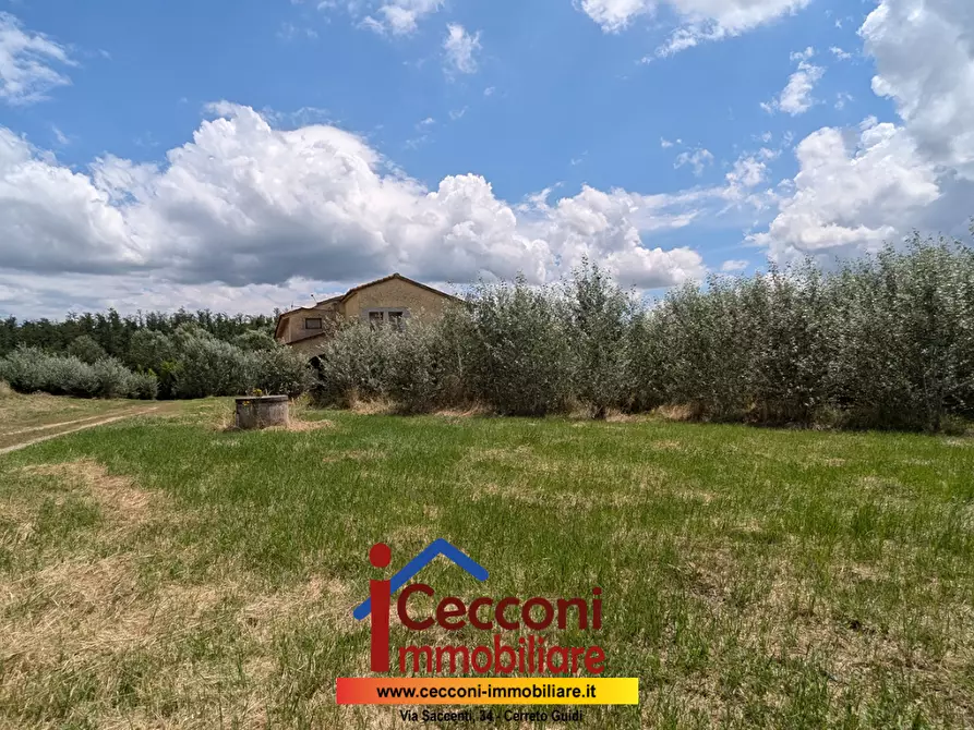 Immagine 3 di Casa indipendente in vendita  a Cerreto Guidi