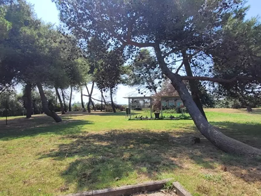 Immagine 20 di Villetta a schiera in vendita  a Pisa