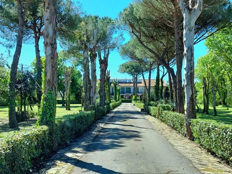 Immagine 6 di Villetta a schiera in vendita  a Pisa