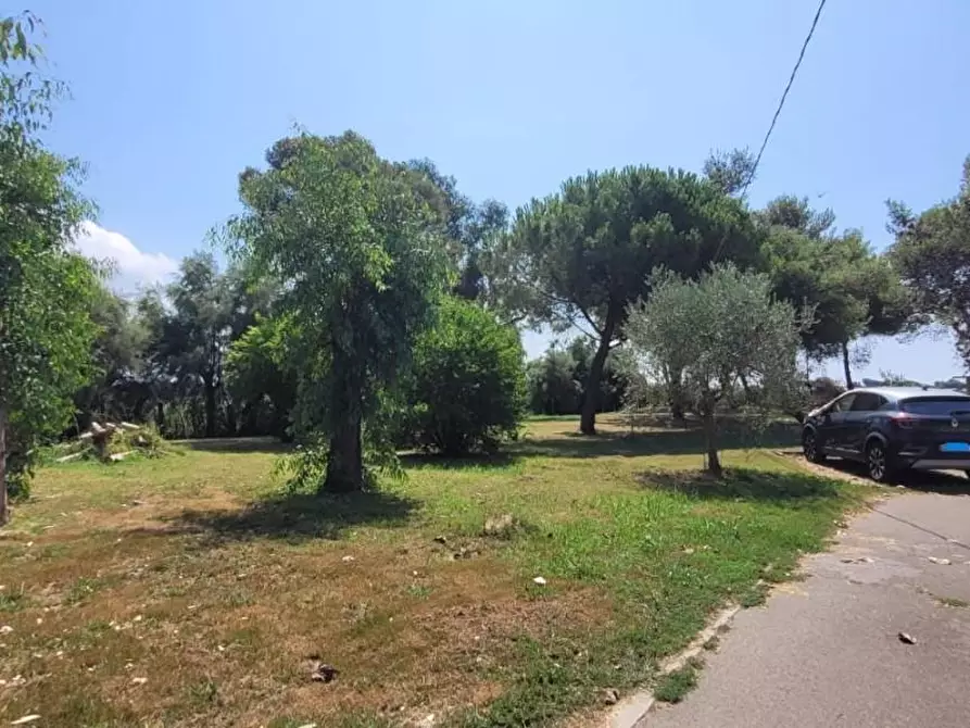 Immagine 25 di Villetta a schiera in vendita  a Pisa