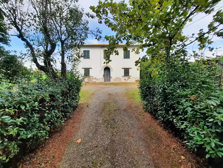 Immagine 1 di Casa indipendente in vendita  a Terricciola