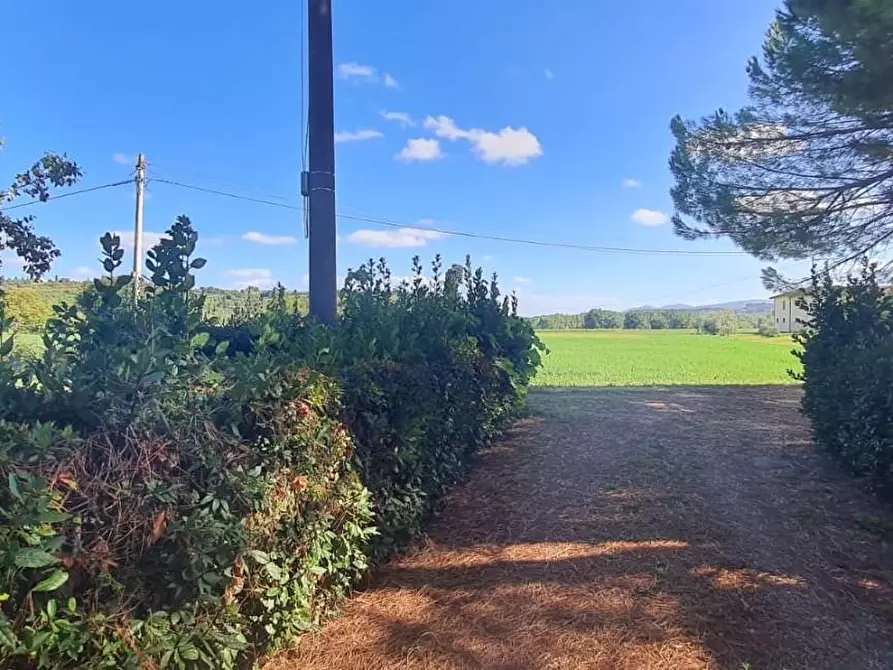 Immagine 31 di Casa indipendente in vendita  a Terricciola